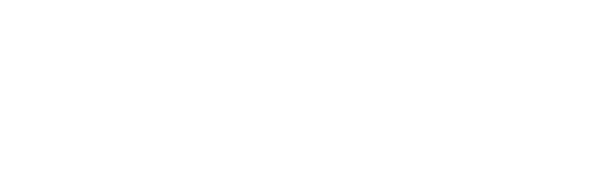 عن الصحيفة